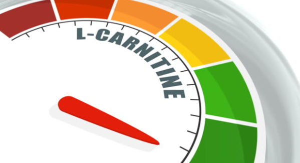 The Benefits of L-Carnitine: Why Picpax Supplements Are the Top Choice 