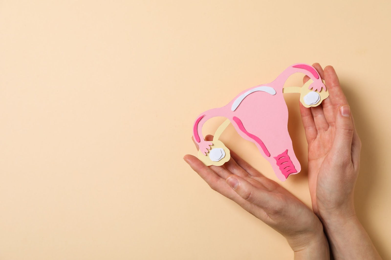 Comprehensive Guide to Women’s Reproductive Health
