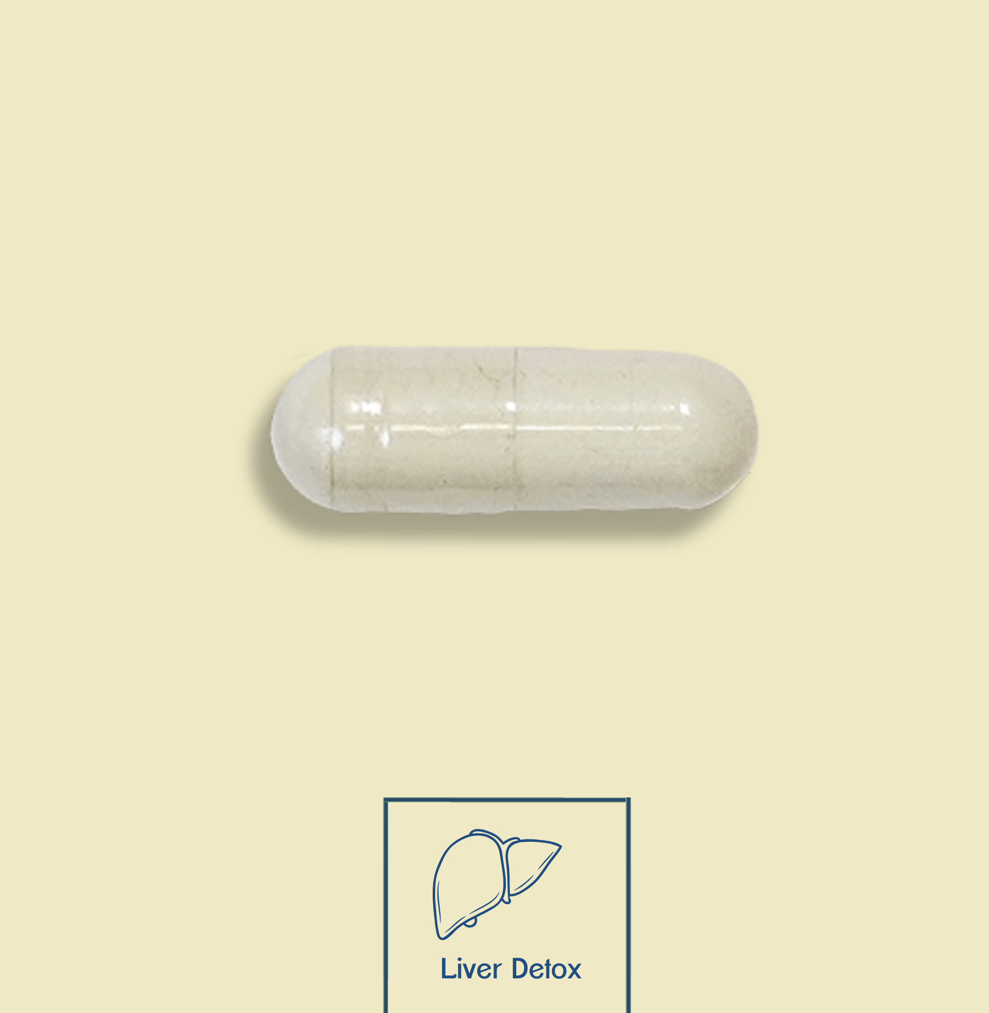 Milk Thistle (Silymarin)