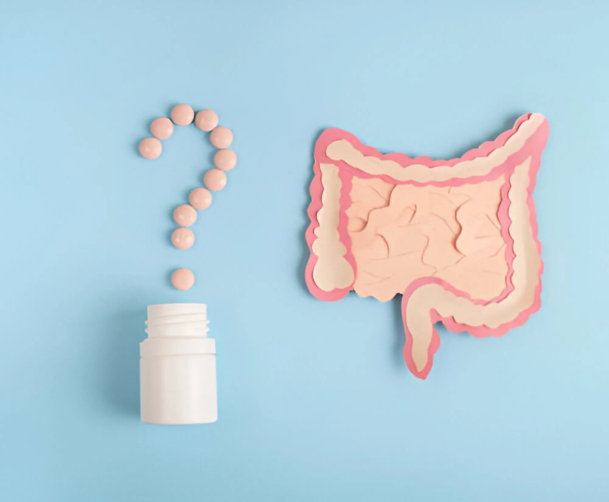 Understanding the Role of Probiotics in Gut Health