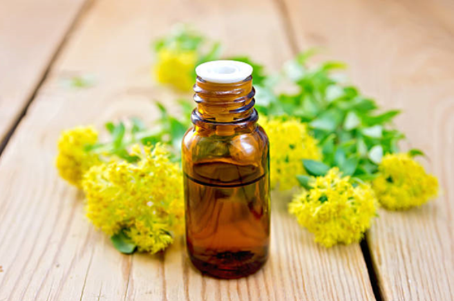 Discover the Benefits of Rhodiola for Stress Relief & Vitality