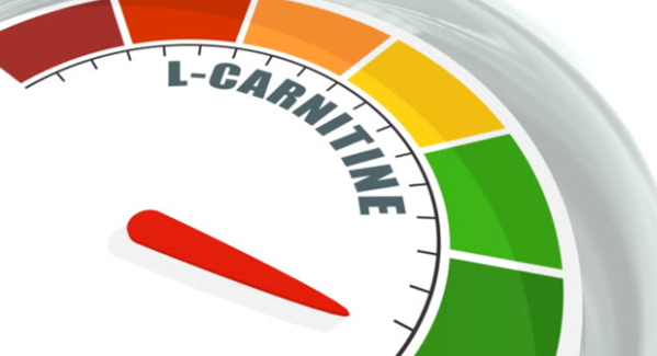 The Benefits of L-Carnitine: Why Picpax Supplements Are the Top Choice&nbsp;