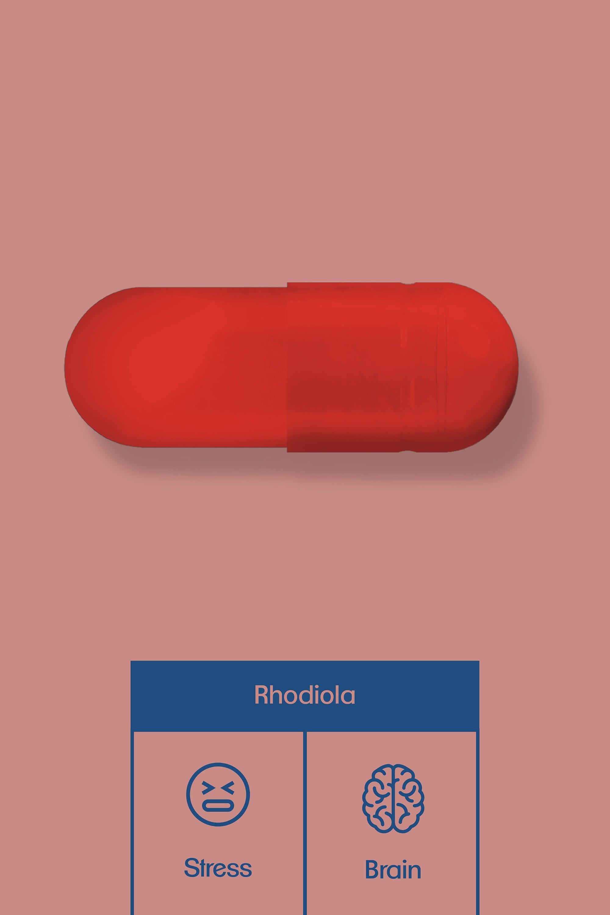 Rhodiola reduces stress and improves brain function